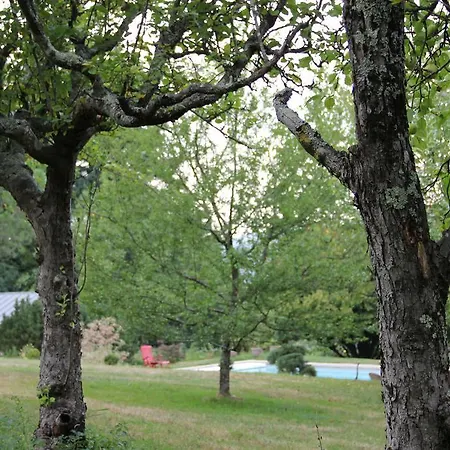乌罗特住宿加早餐旅馆 3* 马扎梅