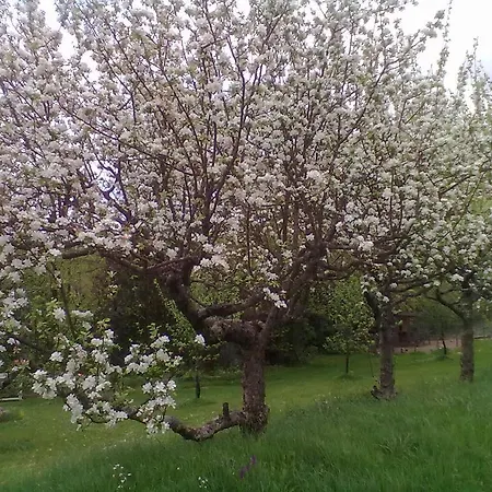 乌罗特住宿加早餐旅馆 3*