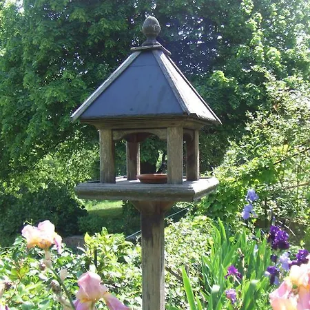 乌罗特住宿加早餐旅馆 住宿加早餐酒店 马扎梅