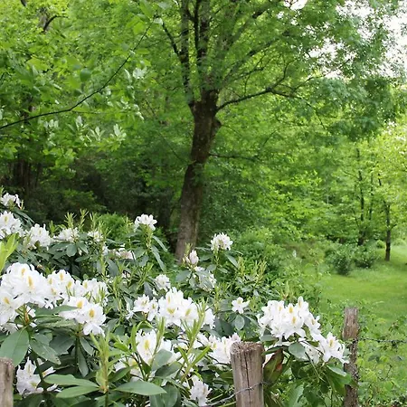 乌罗特住宿加早餐旅馆