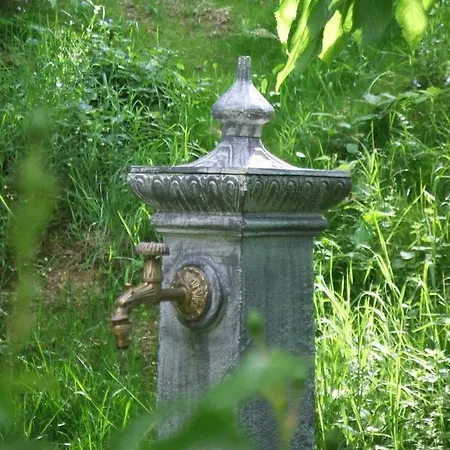乌罗特住宿加早餐旅馆 3* 马扎梅