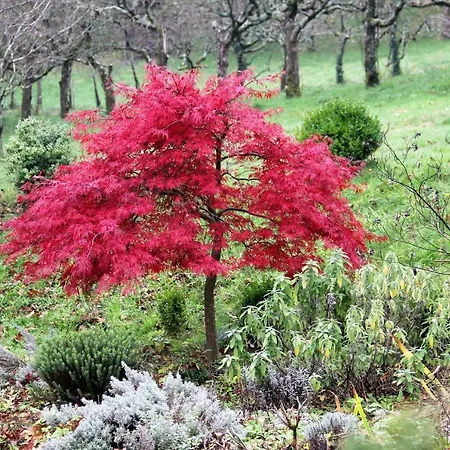 Bed & Breakfast La Hulotte 3*