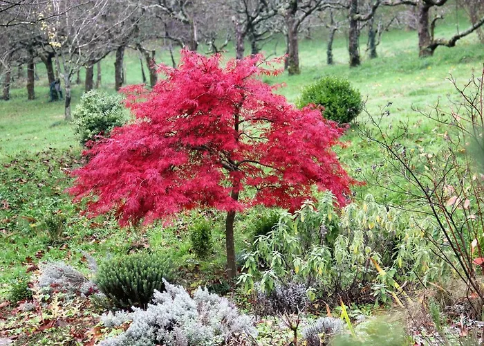 Bed & Breakfast La Hulotte 3*